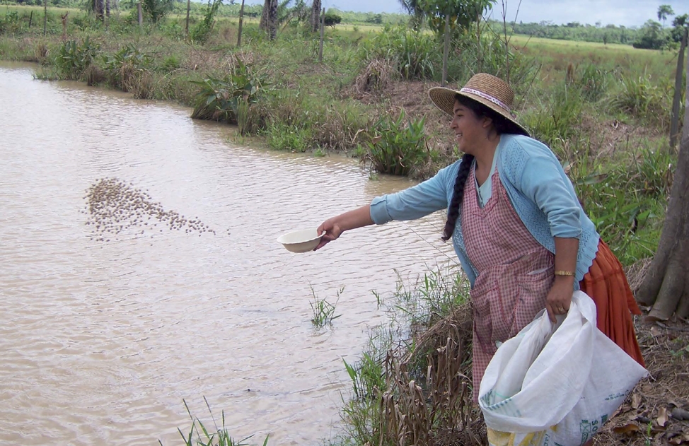 Caso 2: Peces para la vida