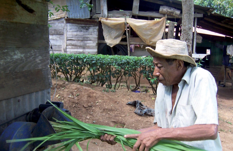 Caso 6: Hacia una ganadería productiva y amigable con el ambiente