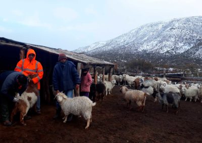 Controles ambientales en la Patagonia