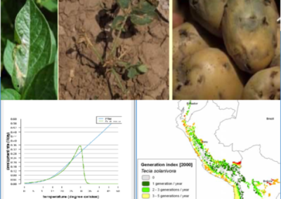 Herramienta para predecir el crecimiento de poblaciones de plagas en diferentes agroecosistemas de papa