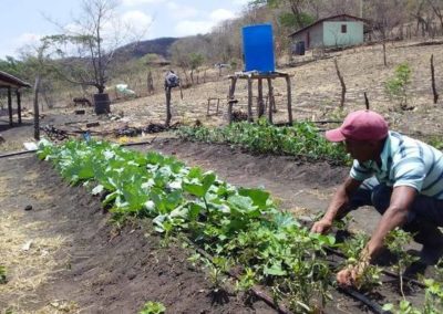 Cultivos agroecológicos para familias del Corredor Seco Centroamericano