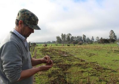 Modelo integrado de conservación, producción y oferta de semillas tradicionales